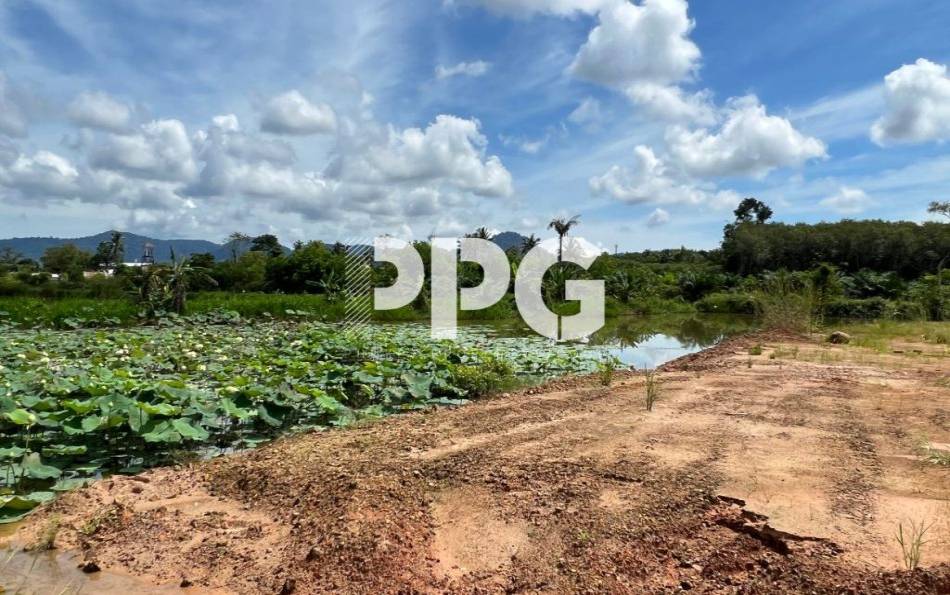 Phuket, ,Land,For Sale,2212