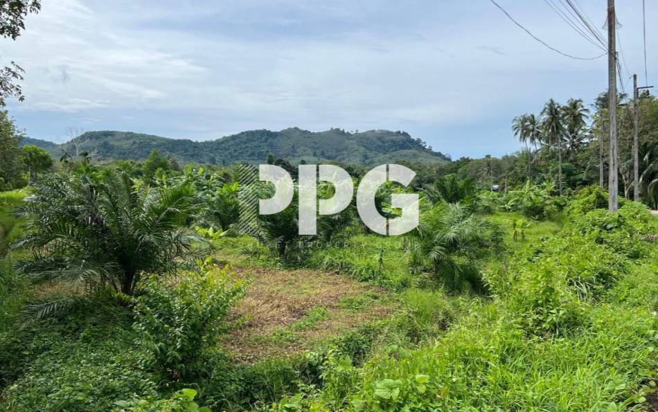 Phuket, ,Land,For Sale,2214