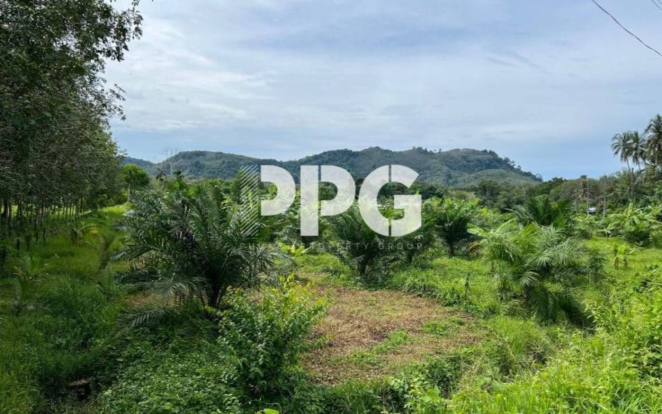 Phuket, ,Land,For Sale,2214