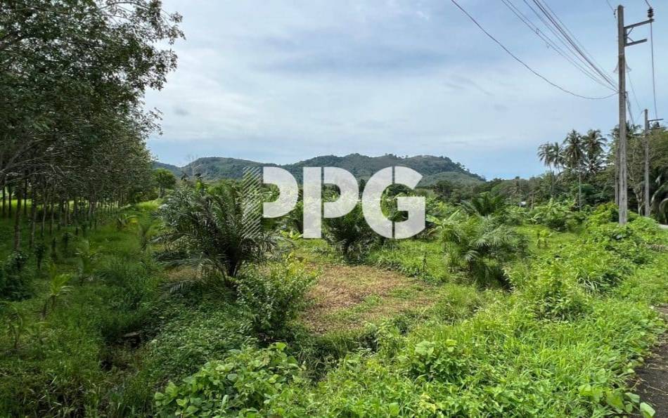 Phuket, ,Land,For Sale,2214