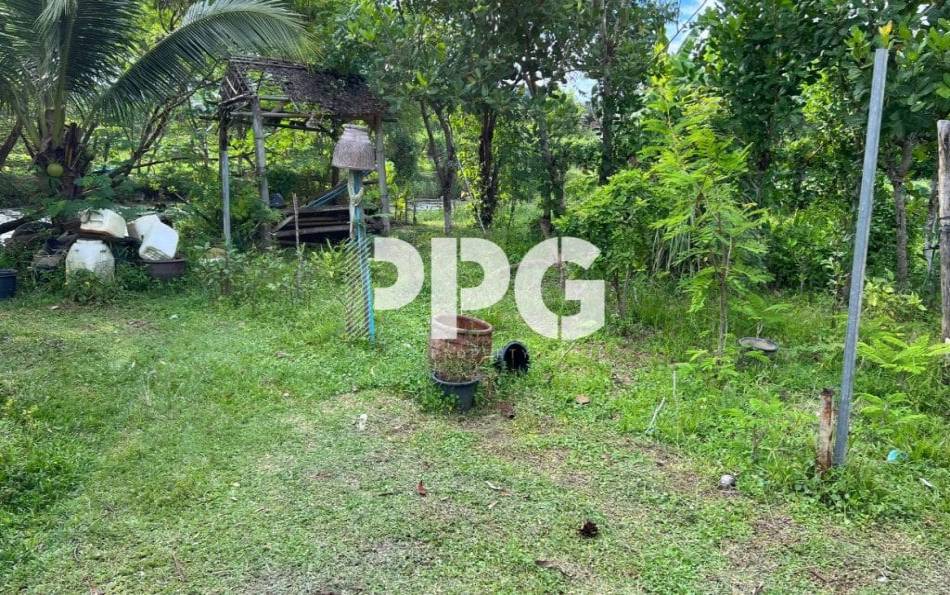 Phuket, ,Land,For Sale,2216