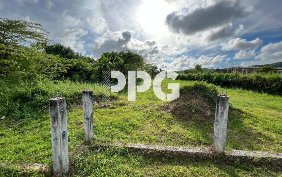 Phuket, ,Land,For Sale,2216