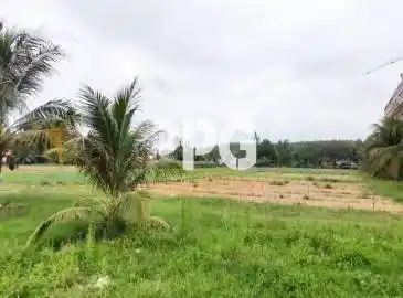 Phuket, ,ที่ดิน,ขาย,2221 Phuket, ,ที่ดิน,ขาย,2221