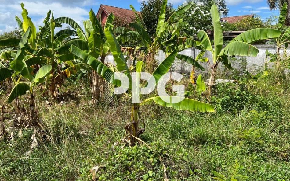 Phuket, ,Land,For Sale,2222