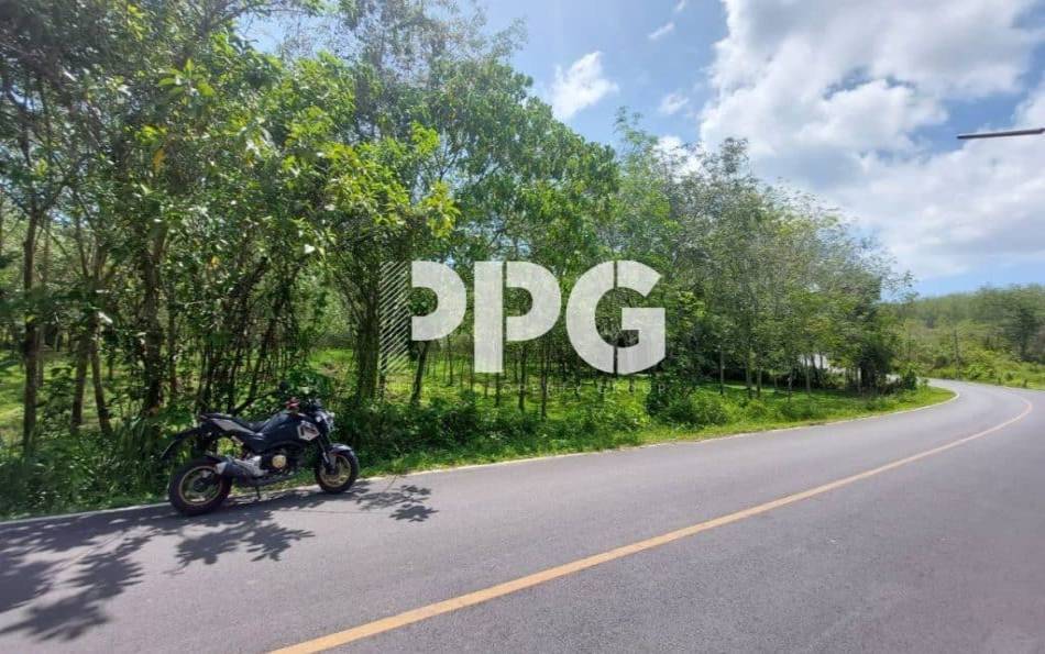 Phuket, ,Land,For Sale,2236