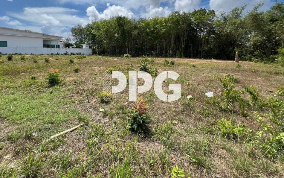 Phuket, ,Land,For Sale,2240