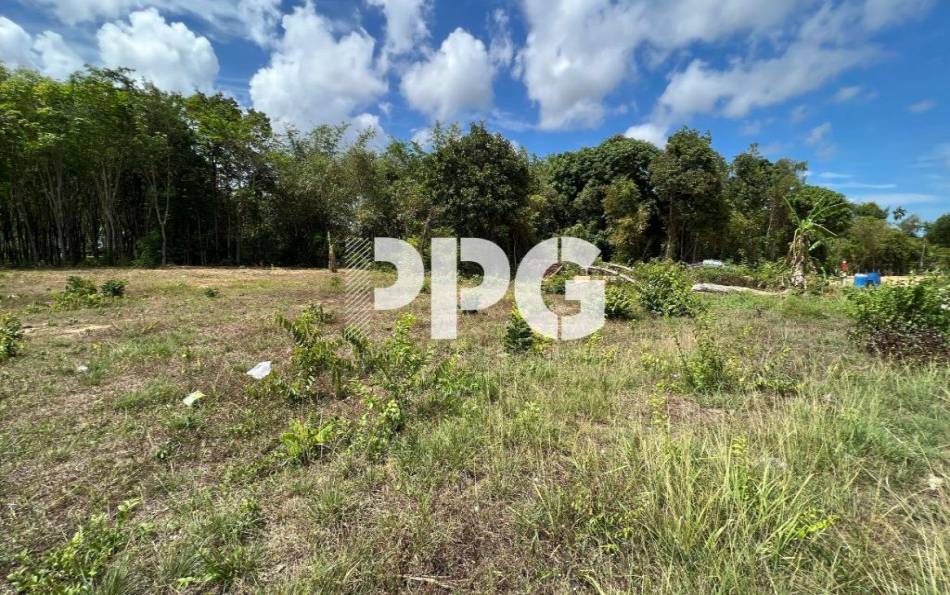 Phuket, ,Land,For Sale,2240