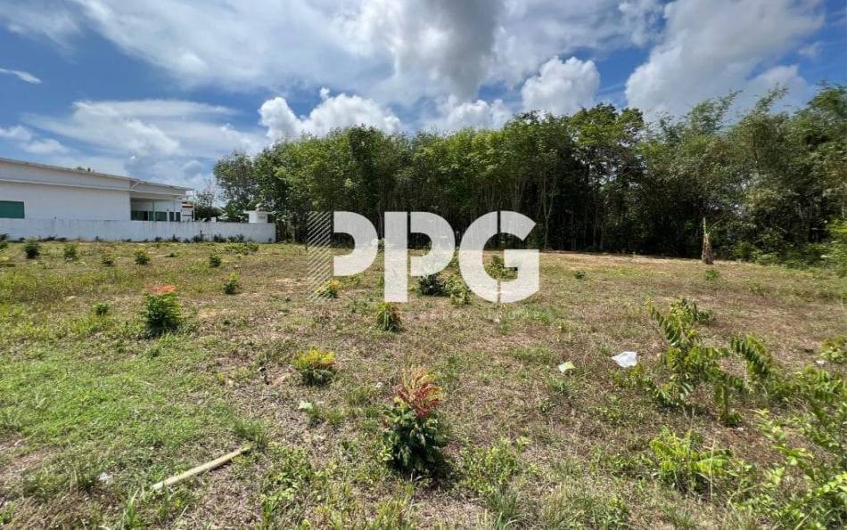 Phuket, ,Land,For Sale,2240