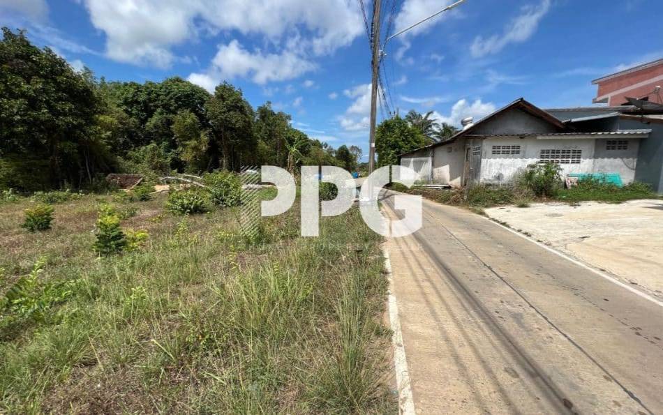 Phuket, ,Land,For Sale,2240