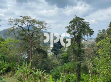 Phuket, ,Land,For Sale,2242 Phuket, ,Land,For Sale,2242