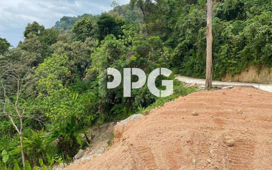 Phuket, ,Land,For Sale,2242