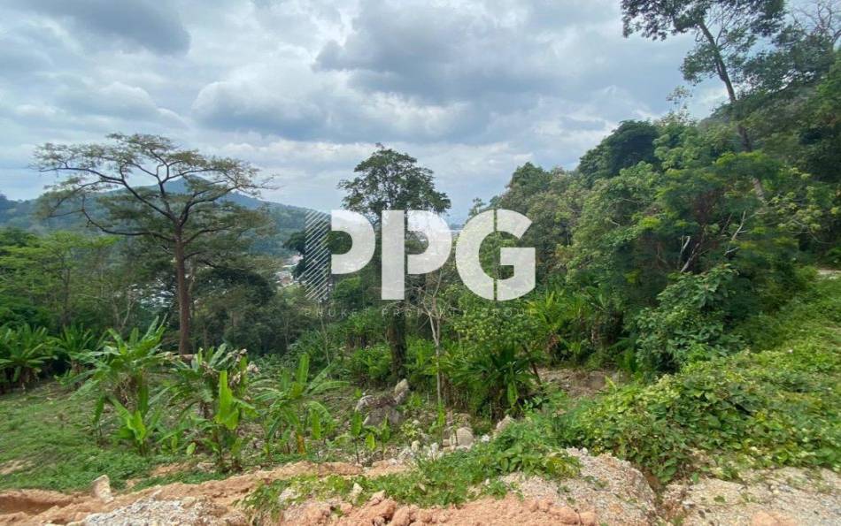 Phuket, ,Land,For Sale,2242