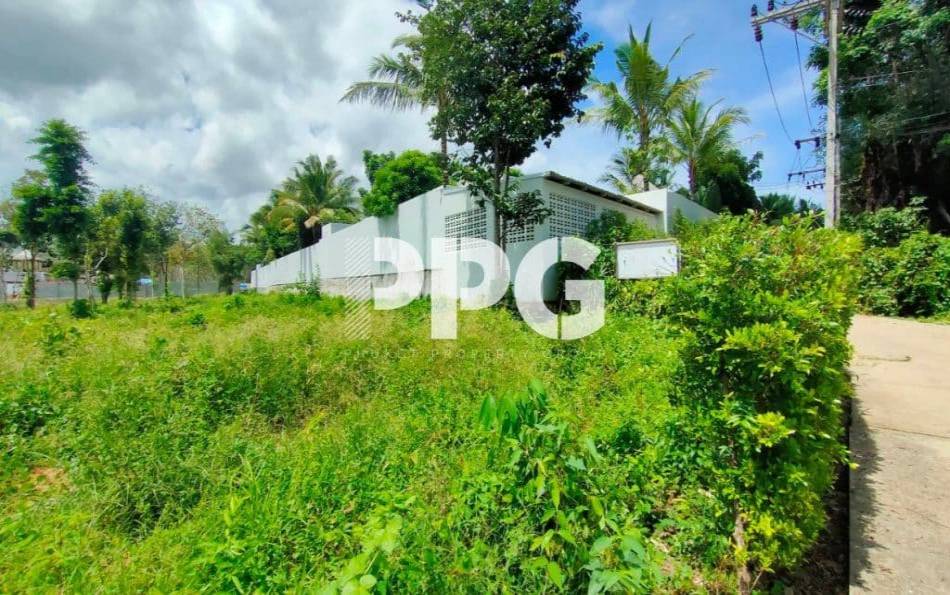 Phuket, ,Land,SOLD,2377