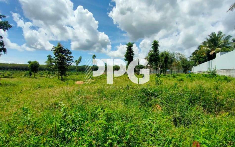 Phuket, ,Land,SOLD,2377