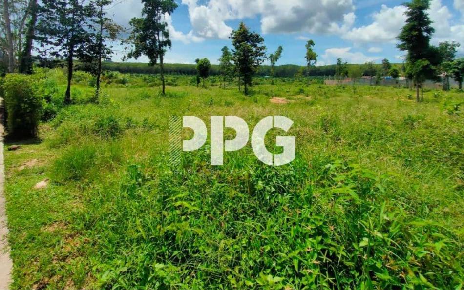 Phuket, ,Land,SOLD,2377