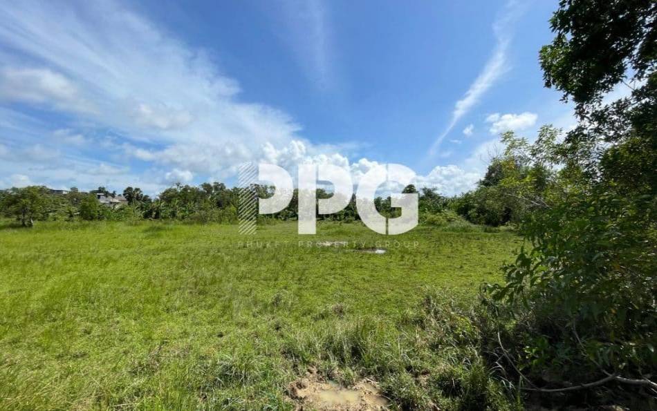 Phuket, ,Land,SOLD,2386