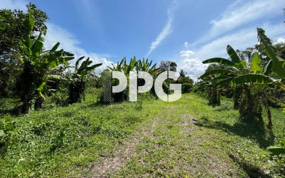 Phuket, ,Land,SOLD,2386