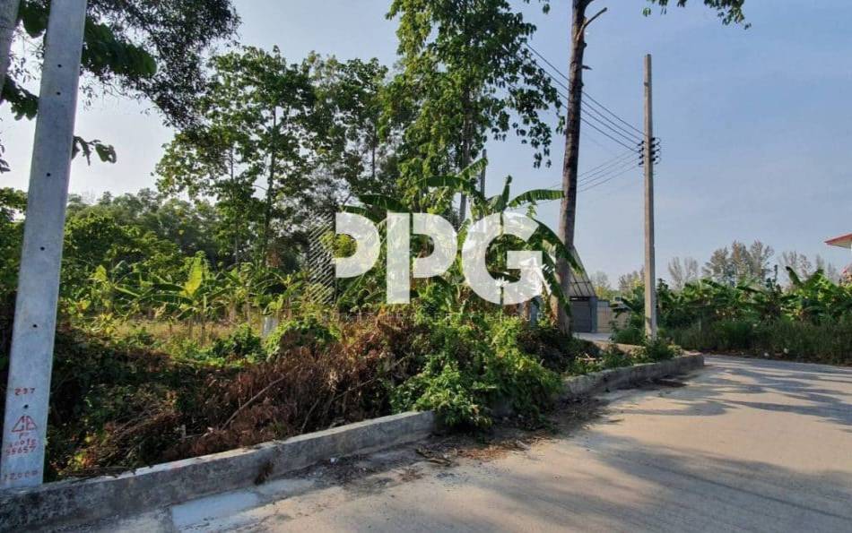 Phuket, ,Land,For Sale,2391