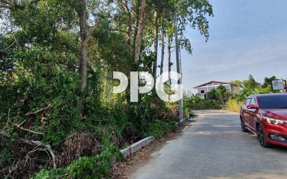Phuket, ,Land,For Sale,2391