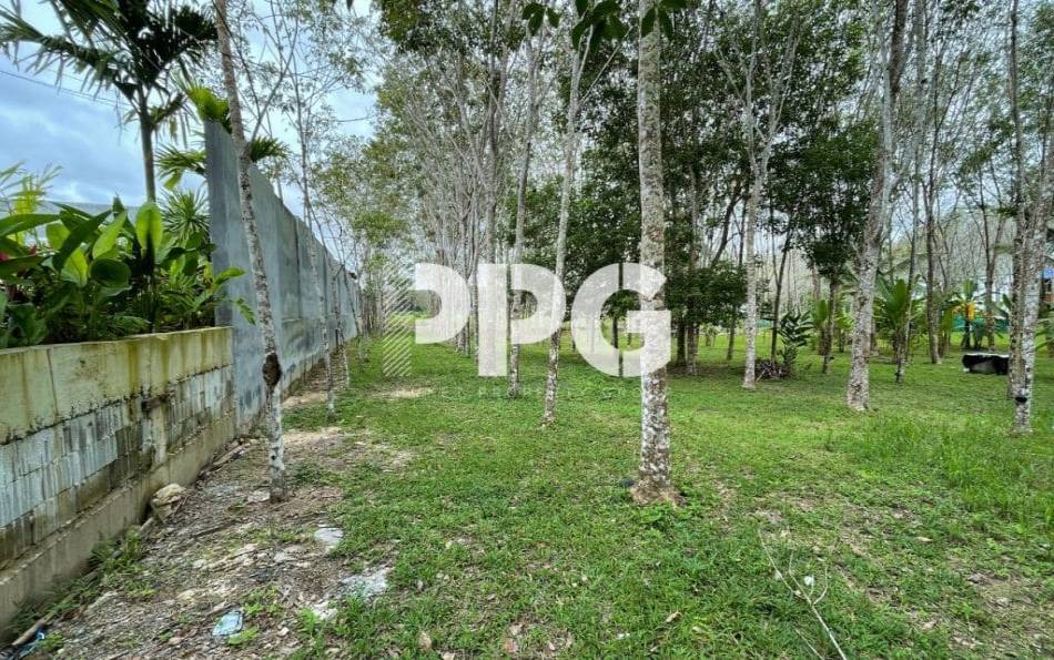 Phuket, ,Land,SOLD,2396