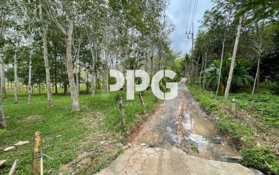 Phuket, ,Land,SOLD,2396