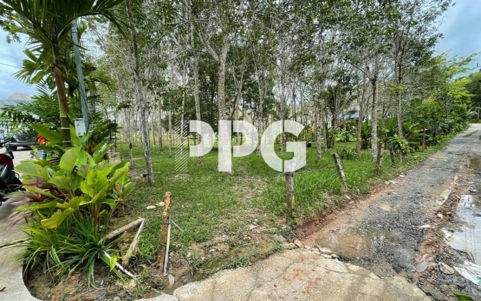 Phuket, ,Land,SOLD,2396