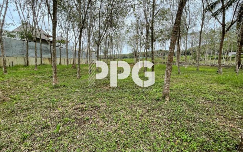 Phuket, ,Land,SOLD,2396