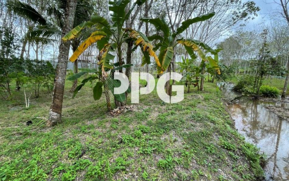 Phuket, ,Land,SOLD,2396