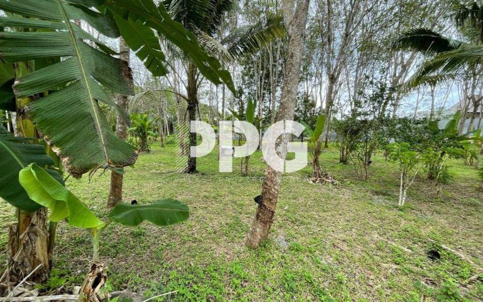 Phuket, ,Land,SOLD,2396