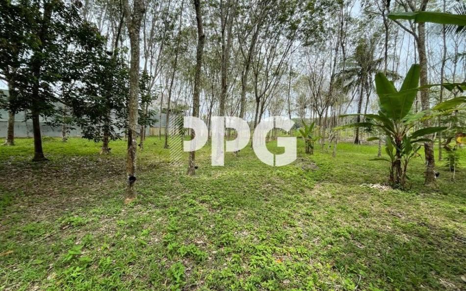 Phuket, ,Land,SOLD,2396