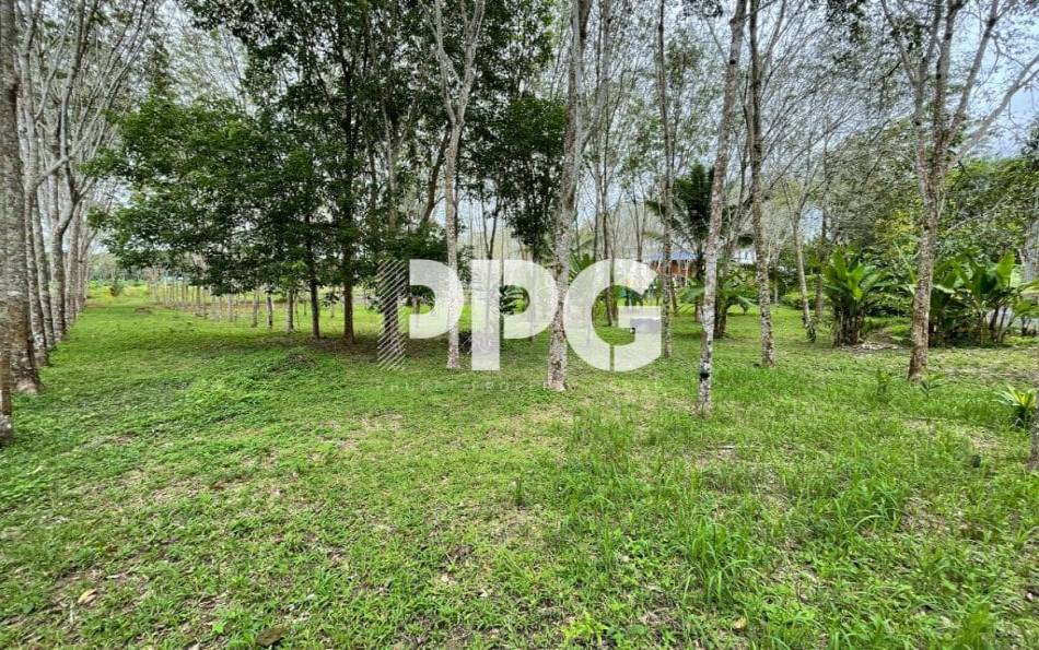 Phuket, ,Land,SOLD,2396