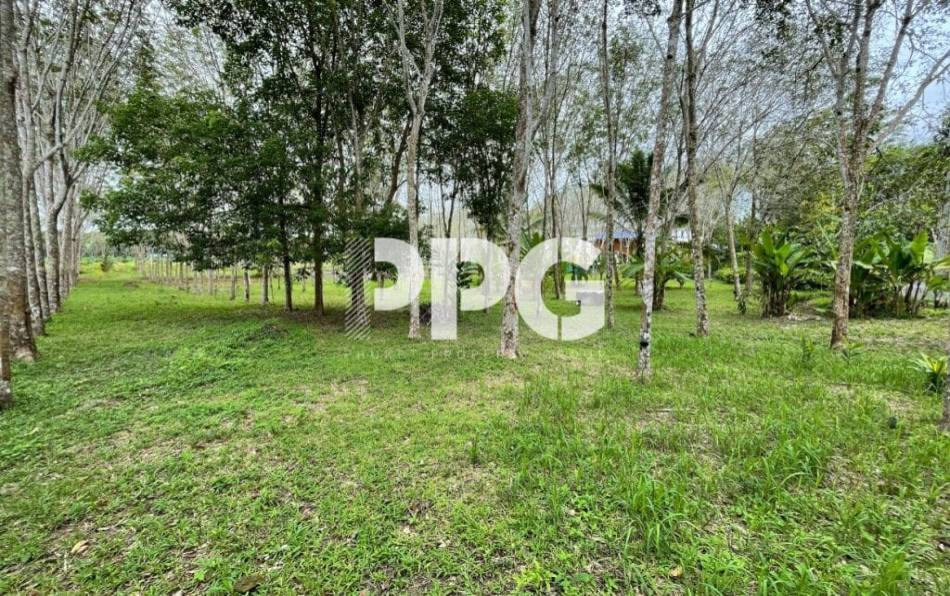 Phuket, ,Land,SOLD,2396
