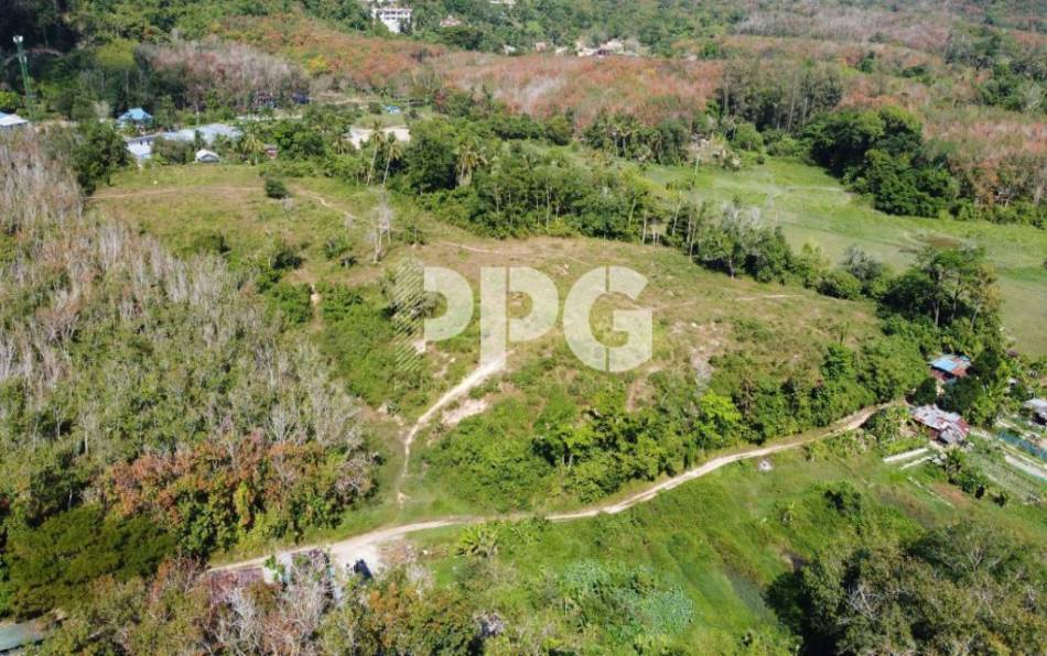 Phuket, ,ที่ดิน,SOLD,2427