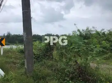 Phuket, 1 ห้องนอน Bedrooms, ,1 ห้องน้ำห้องน้ำ,ที่ดิน,ขาย,2437 Phuket, 1 ห้องนอน Bedrooms, ,1 ห้องน้ำห้องน้ำ,ที่ดิน,ขาย,2437