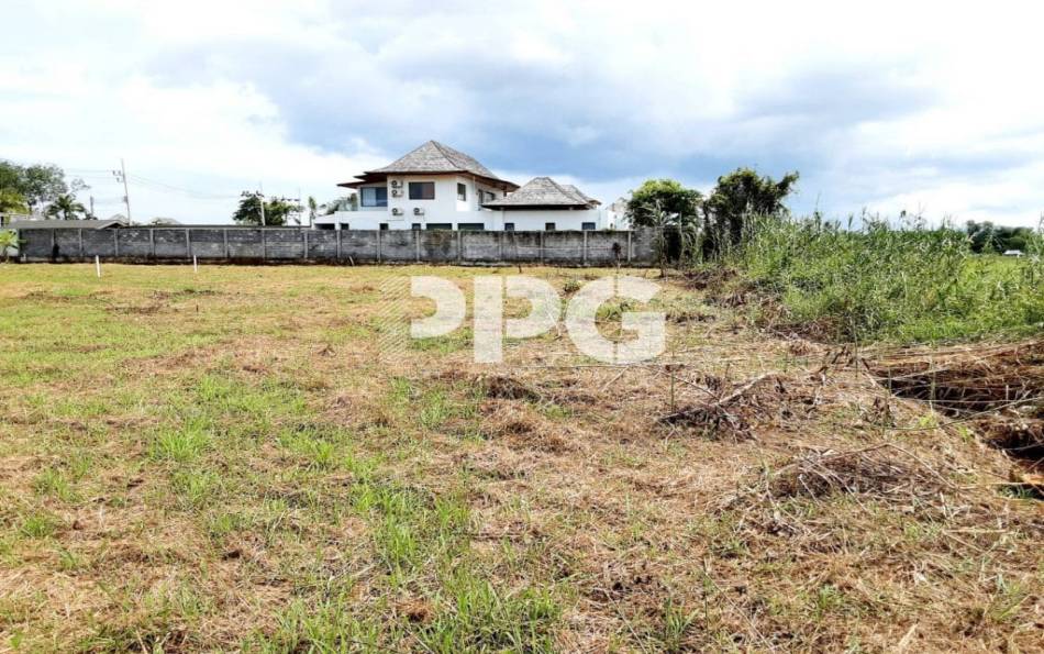 Phuket, ,Land,SOLD,2508