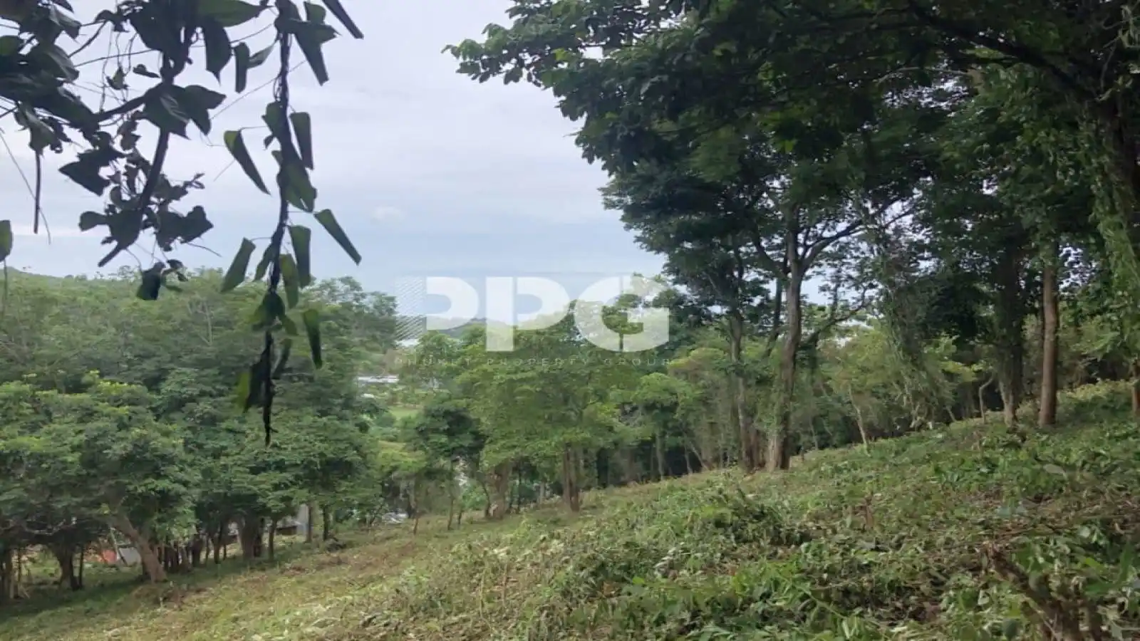 Phuket, ,ที่ดิน,ขาย,2512