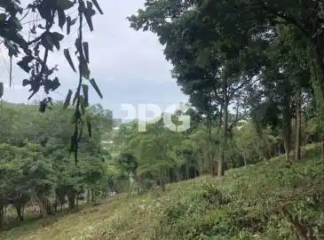 Phuket, ,ที่ดิน,ขาย,2512