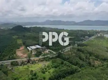 Phuket, ,ที่ดิน,ขาย,2523 Phuket, ,ที่ดิน,ขาย,2523