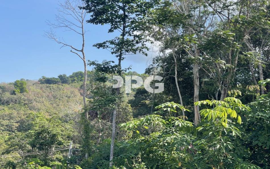 Phuket, ,ที่ดิน,ขาย,2527