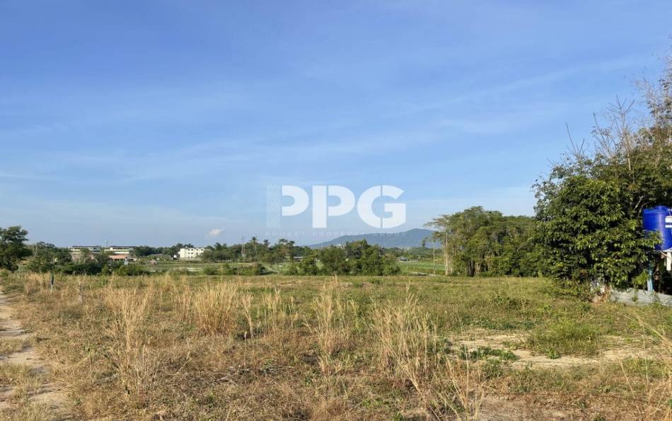 Phuket, ,Land,For Sale,2530