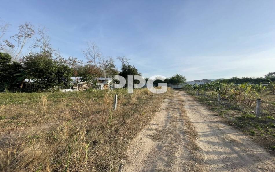 Phuket, ,Land,For Sale,2530