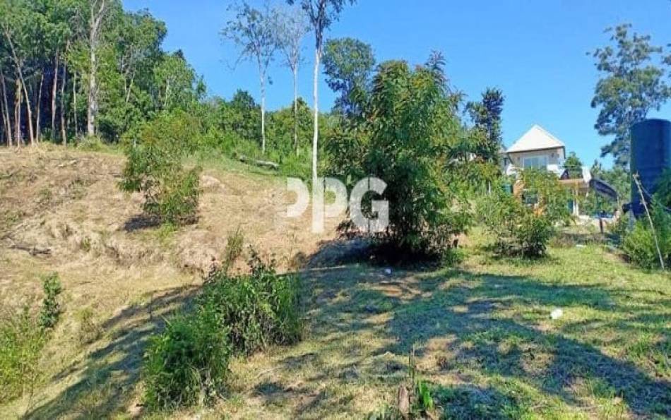 Phuket, ,Land,SOLD,2534