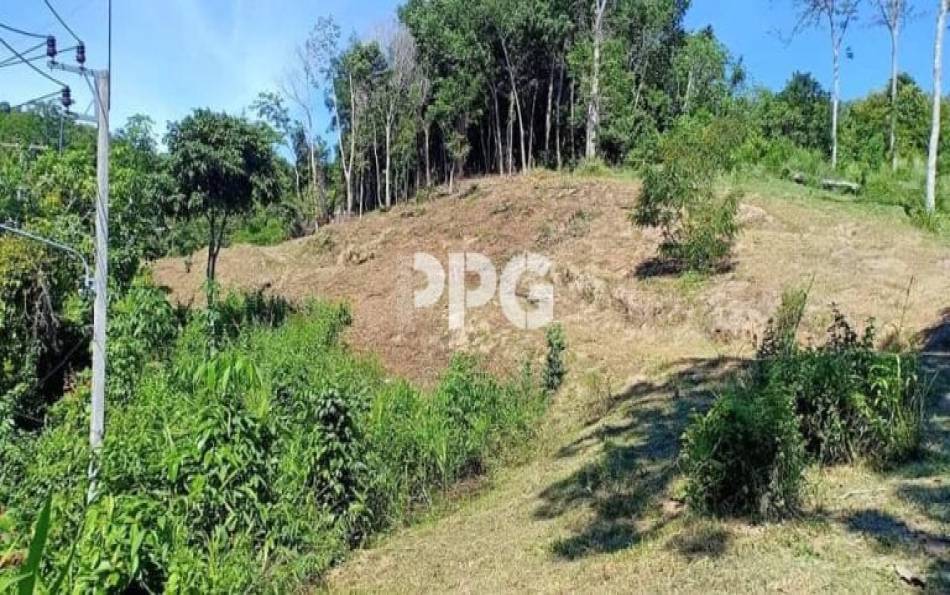 Phuket, ,Land,SOLD,2534