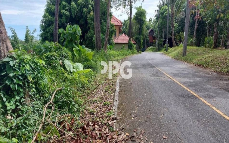 Phuket, ,Land,SOLD,2535