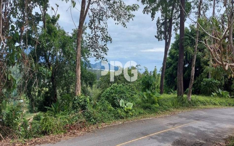 Phuket, ,Land,SOLD,2535