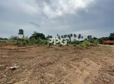 Phuket, ,ที่ดิน,ขาย,2536