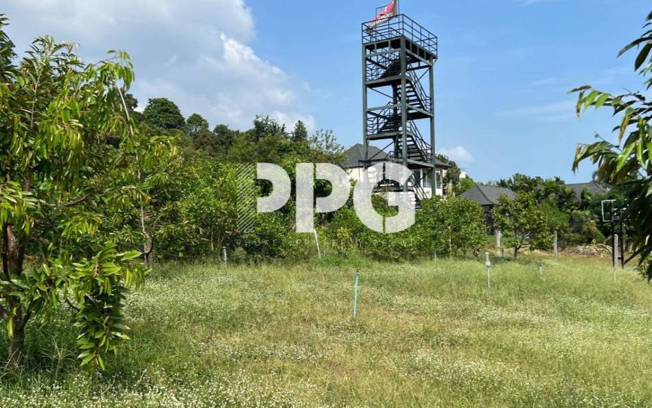 Phuket, ,Land,For Sale,2616