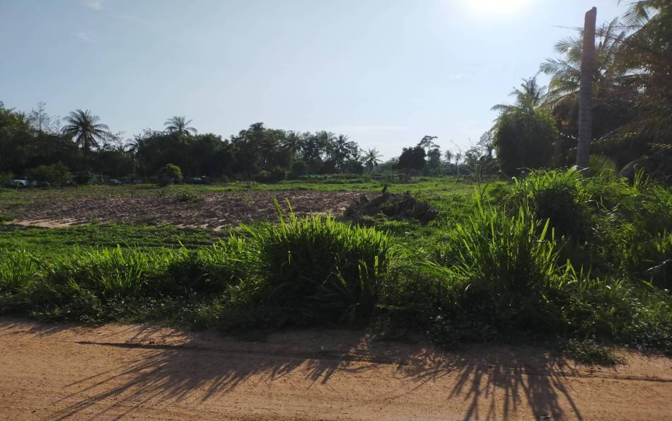 Large, land, plot, suitable, villa, development, Na Jomtien, Phoenix Golf