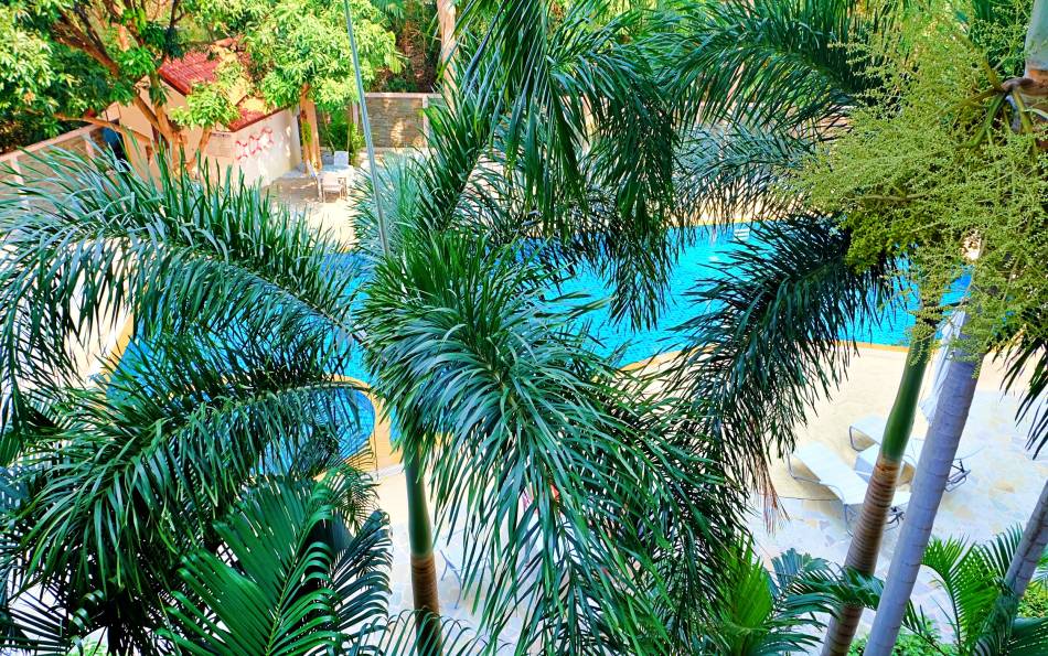 Large 1 bedroom condo for sale on Pratumnak Pattaya, Pool view condo Pratumnak, Pratumnak condos for sale, condo for sale in Pattaya, Property Excellence